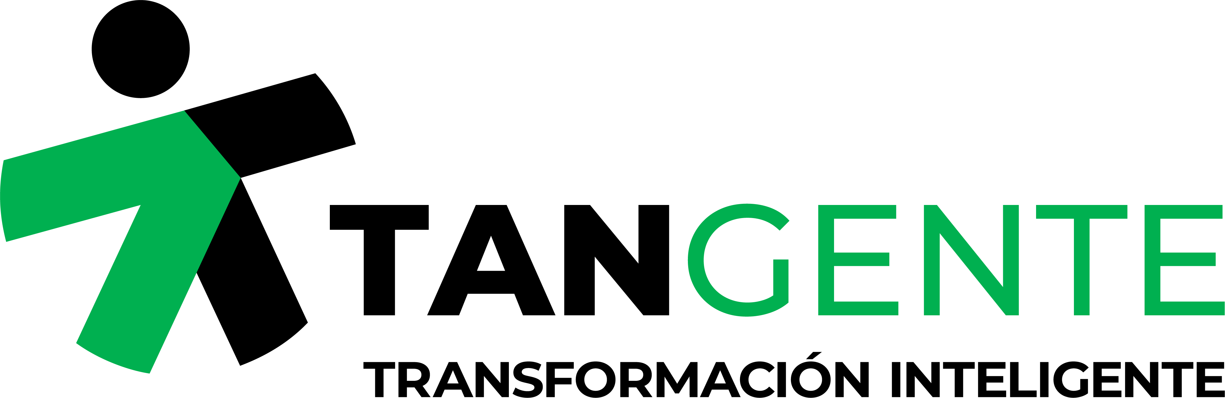 Logo de Sistemas Tangente del Norte, consultora de tecnología informática en Chihuahua